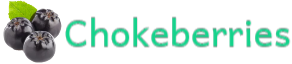 Chokeberries